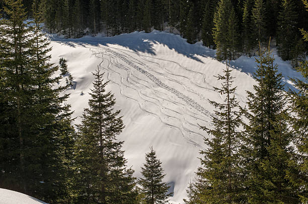 Snowfall in Trentino . Mocheni Valley - Valle dei Mocheni , Vasugana