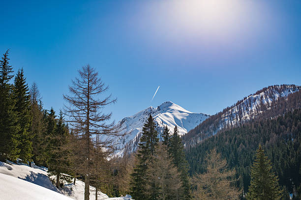 Snowfall in Trentino . Val dei Mocheni , Valsugana