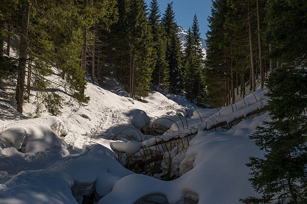 Snowfall in Trentino . Andalo , Molveno , Paganella , Fai della Paganella. Dolomiti di Brenta, cross-country skiing