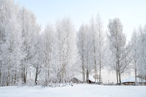 A village on a hill covered in snow. Rural winter landscape.