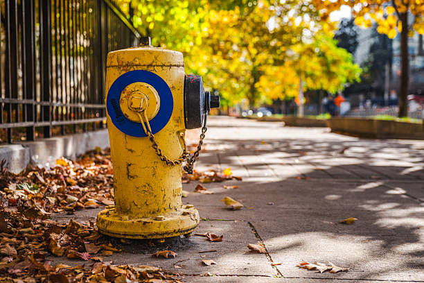 Fire hydrant on a yellow wall on a sunny day.