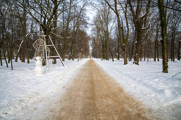 Snow-covered avenue lined with bare trees in Warsaw’s Royal Baths Park, Poland. A peaceful winter landscape with a symmetrical composition, ideal for themes of nature, travel, seasonal change, and calm urban parks.