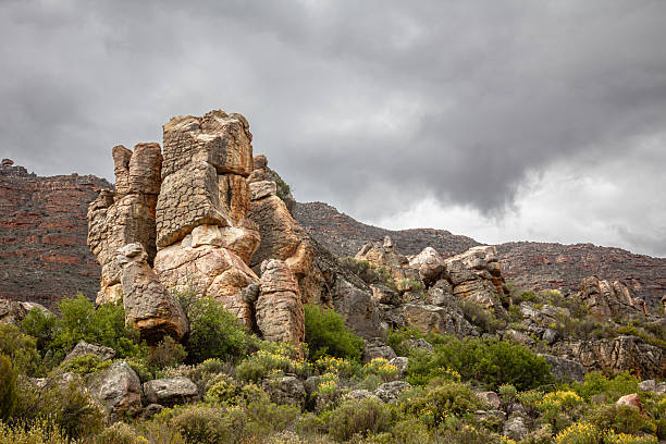 Rugged wilderness landscape featuring dramatic weathered rock formations and stacked stone pillars rising from low green shrubland under a cloudy sky. Natural scene highlighting erosion, geological history, and the raw beauty of an arid environment