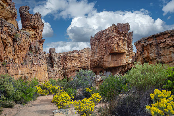 Scenic rocky canyon landscape featuring dramatic weathered sandstone rock formations, rugged cliffs, and a sandy path surrounded by green shrubs and bright yellow wildflowers under a blue sky with clouds. Natural wilderness scene showcasing geology, arid vegetation, and outdoor adventure in a remote natural environment.