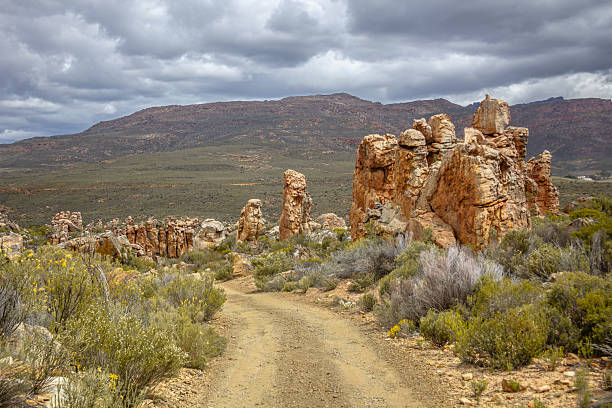 Dirt road winding through a rugged rocky desert landscape with towering weathered stone formations, low shrub vegetation, and distant hills beneath a dramatic cloudy sky. Remote wilderness scene ideal for themes of travel, journey, exploration, and adventure.