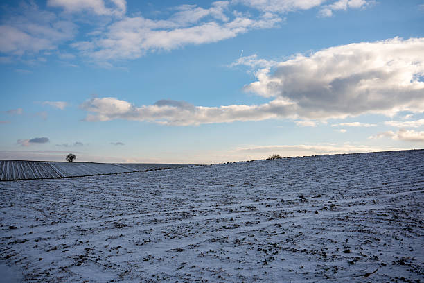 Wide view of a gently rolling field covered with snow beneath a soft blue sky, creating a minimal and tranquil winter scene.