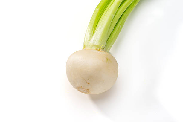 White Turnips with Green Tops Isolated