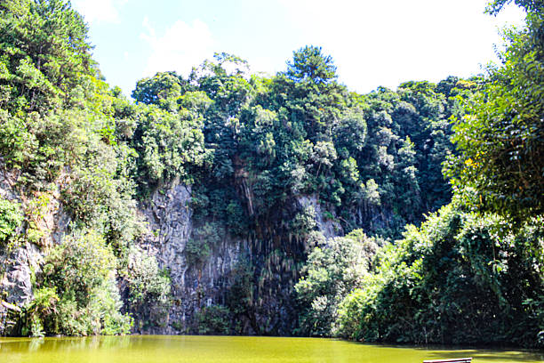 Image of the beautiful public Park Universidade Livre de Curitiba on a sunny day
