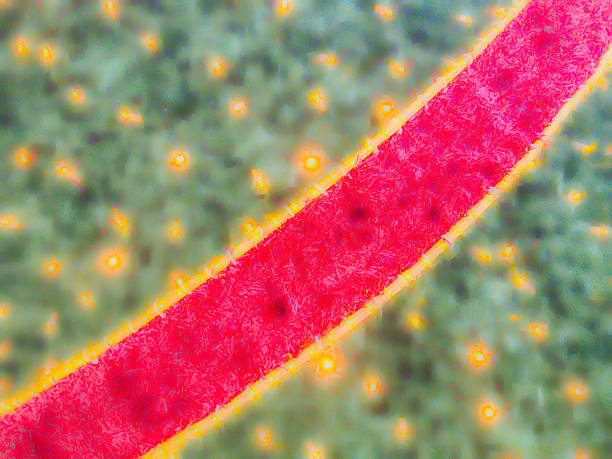 A detailed macro view of an artificial Christmas Tree featuring green surfaces dotted with small yellow lights and bordered by striking red edges. The image captures the textured quality of the foliage. No people are present, focusing solely on the  intricate details. The mood is serene and vibrant, evoking freshness and natural beauty. This image suits commercial uses such as Christmas illustrations in magazines,  or backgrounds for commercial campaigns.