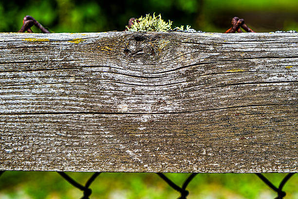Old Weathered Wooden Plank Background outdoor closeup