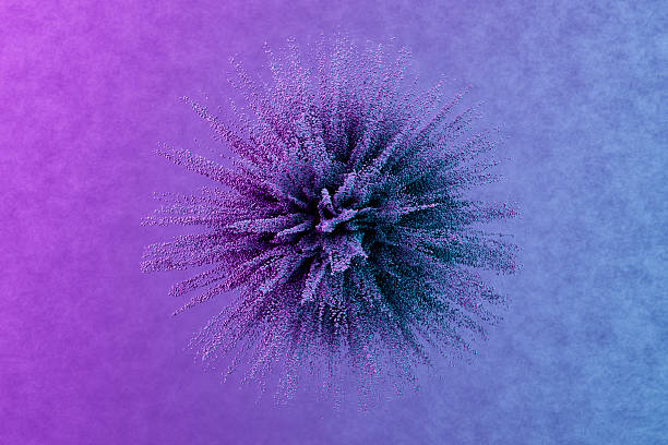 A vibrant and energetic 3D abstract visualization of a massive particle explosion, forming a spherical or organic shape. The composition features millions of tiny purple and blue dust particles bursting outward, creating a sense of dynamic movement and power. Set against a soft pink and blue gradient background, this visual represents creative energy, scientific microscopic structures, floral pollen, or digital big data dispersion. It is an ideal representation for innovation, artistic design, biological research, or modern tech branding.
