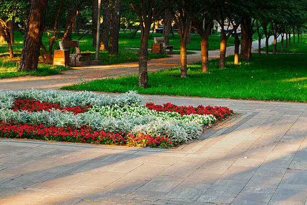 A beautifully composed garden scene featuring vibrant pink flowers and abundant greenery. A tranquil and inviting environment filled with life, demonstrating the beauty of natural landscapes.