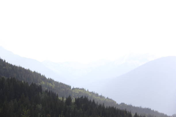 Scenery on a foggy morning as I drive through Jasper Alberta.