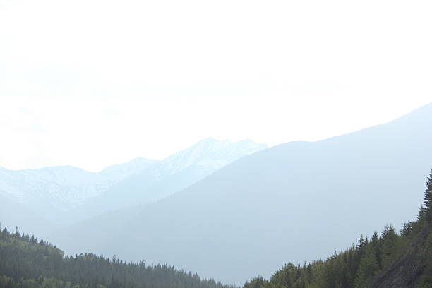 Scenery on a foggy morning as I drive through Jasper Alberta.