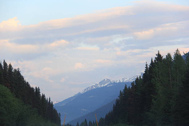 Scenery on a foggy morning as I drive through Jasper Alberta.