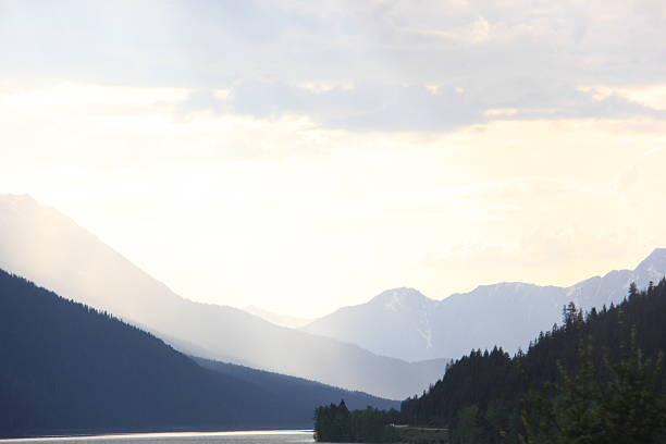 Scenery on a foggy morning as I drive through Jasper Alberta.