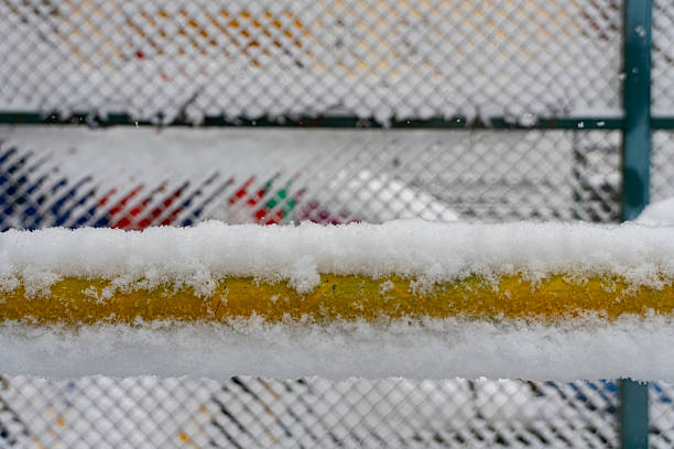 Layer of frost coats the wooden panels of a fence, set in an outdoor environment that showcases the textures of winter conditions