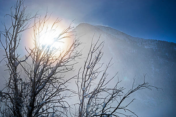 Bright sun shining through a tree at a snowy mountain resort