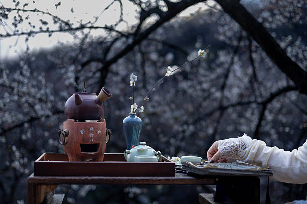 Boiling tea under the plum tree in winter