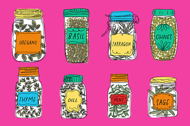 A sketchy style hand drawn herb or spice jar template on a flat color background. Comes with high resolution jpeg.