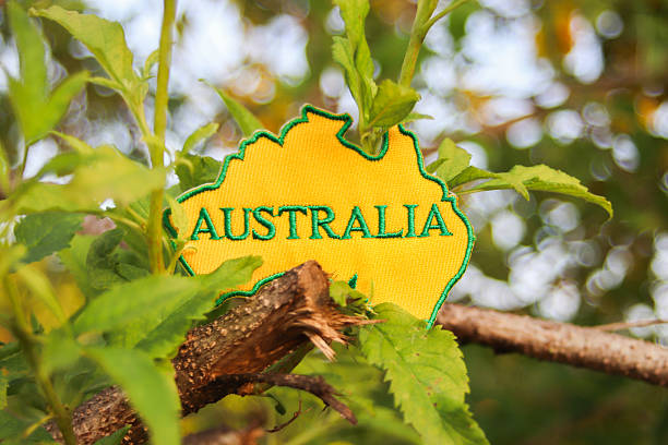 A symbolic eco friendly concept featuring a yellow fabric patch shaped like the map of Australia, gently placed on natural tree branches with soft sunlight and circular bokeh in the background. The image conveys sustainability, eco tourism, climate action, and environmental awareness, highlighting the balance between national identity and nature conservation. Ideal for themes of green initiatives, biodiversity, and responsible travel.