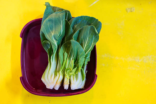 Raw and fresh pak choi in red tray on yellow background