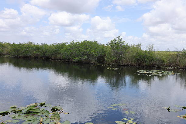 Young couple riding on airboat at the Everglades National Park, Florida, USA