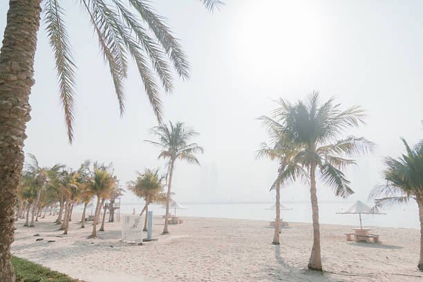A serene sunset view of Al Mamzar Beach in Dubai United Arab Emirates. Al Mamzar Beach Public Park is the first integrated recreational destination and extends over an area of 106 hectares and includes five beaches for relaxation and swimming in addition to three swimming pools featuring tall palm trees standing on a sandy shore with calm sea and a distant city skyline under a soft pink and hazy sky The humid evening atmosphere and pastel tones create a tranquil tropical mood representing summer travel coastal lifestyle relaxation and tourism in the Middle East with clean composition and natural copy space