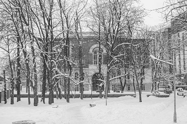Monochrome scene portrays bare trees and a snow covered park with a building scenery behind