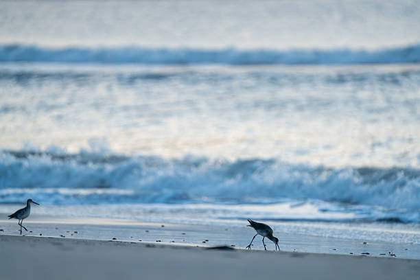 Peacefull beach scene in the morning.