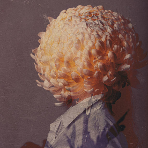 Person silhouette with chrysanthemum head featuring a vintage double exposure effect