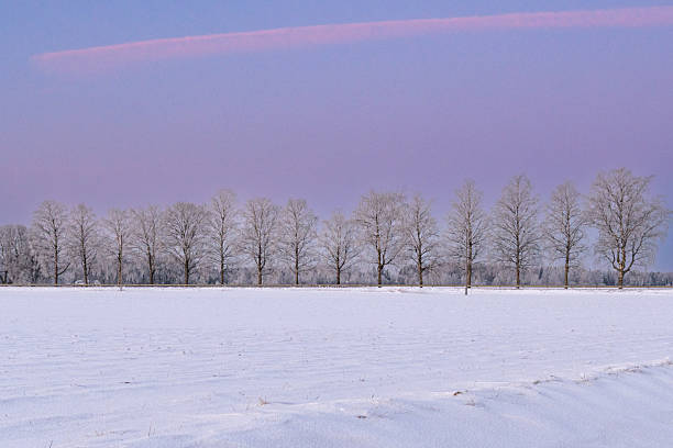 istock Minimalist winter landscape with snow covered field and bare trees under pastel sky, calm rural scenery symbolizing silence and serenity 2258330992