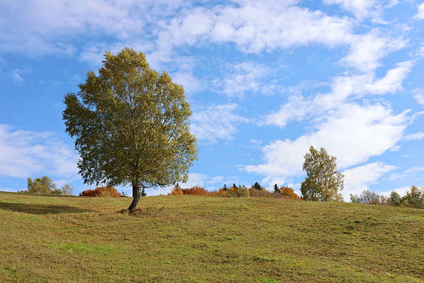 View of the green landscape near Oberhenneborn in the Sauerland.