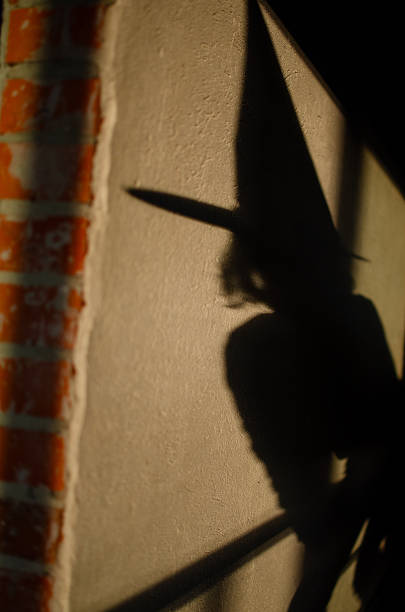 Shadow of a witch on wall, mystery of Halloween night. Use for Halloween themes, art and horror