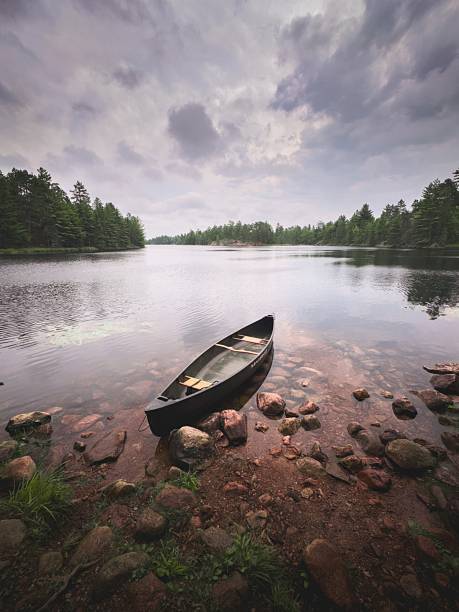 A low-angle shot of several kayaks resting upside down on a green grassy lawn next to a lake, with a single wooden bench in the foreground.