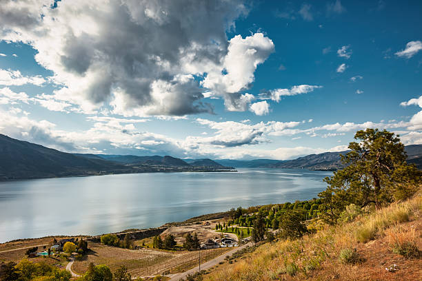 Vineyards on the shores of Okanagan Lake. Quails' Gate Winery of Kelowna, British Columbia, Canada.