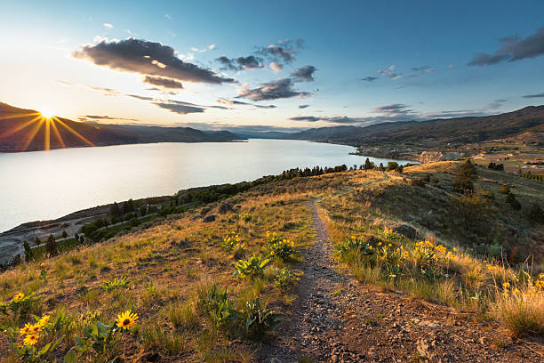 Trail with flowers above Okanagan Lake in British Columbia, Canada at sunset.