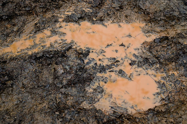 Brown mud puddle with wet earth and fallen leaves showing a natural texture