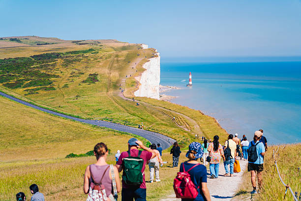 A chalk pathway leading up a hill in the South Downs, with a blue sky overhead