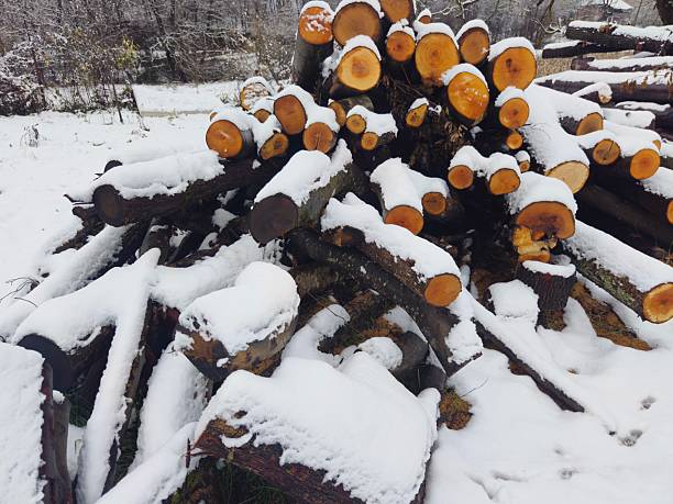 Pile of firewood tree trunks prepared for heating in winter