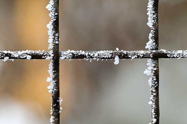 A metal fence covered in snow. The snow is covering the metal bars and the fence itself. The fence is in a rural area