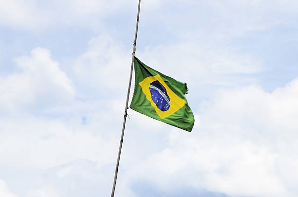 A battered Brazilian flag on a bamboo pole in the wind on a sunny daybra