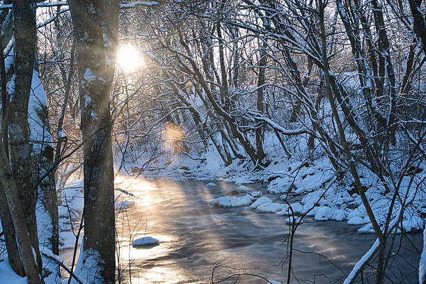 Experience the magic of winter with golden sunlight streaming through frosty trees over a serene Estonian river. Perfect for seasonal marketing and nature-themed content.