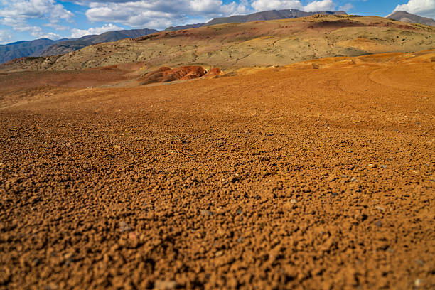 The Painted Hills John Day Fossil Beds National Monument In Eastern Oregon. View of hillside with subtle colors and grass area with 3 trees. About 9 miles northwest of the small town of Mitchell, Oregon. There is no entrance fee.