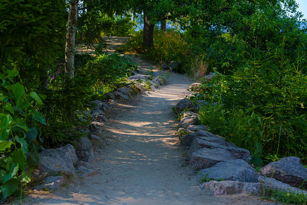 Peaceful dirt trail winding through a green forest, bordered by large rocks and surrounded by dense vegetation on a sunny summer day