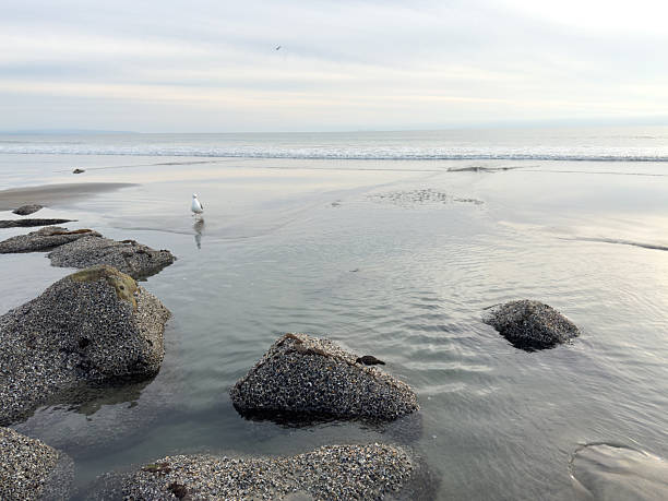 Stunning view at beach with coastal rocks and clear ocean water. High quality photo