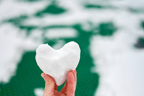 Hand holding a sculpted heart-shaped snowball against a green winter background