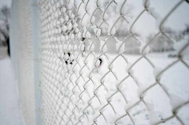 Metal link fence with wire