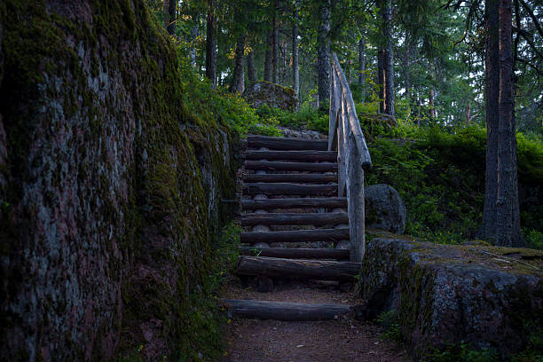 Log staircase with simple wooden railing ascends through a quiet pine forest, surrounded by moss-covered rocks and trees in soft evening light