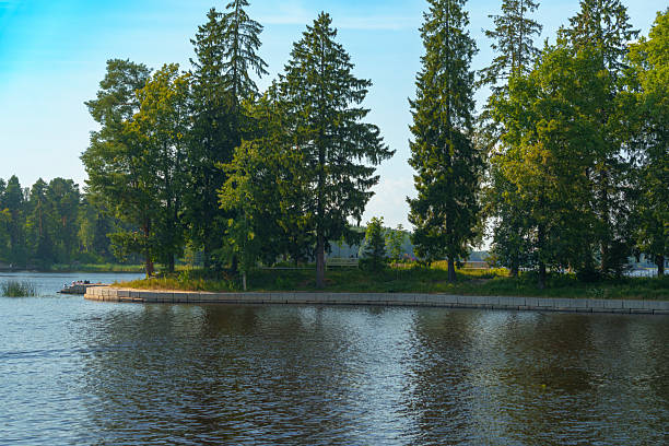 Peaceful green island with tall pine and deciduous trees surrounded by calm lake water under blue summer sky in a natural park setting